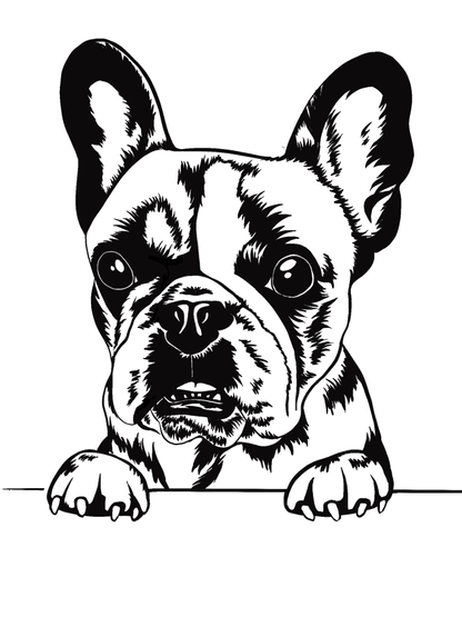 Personalize your pet image