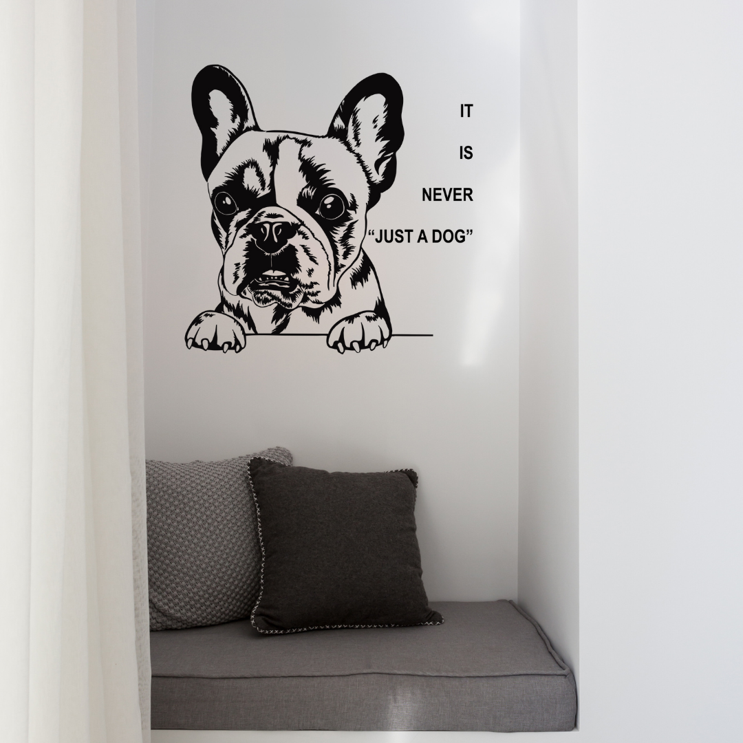 Personalize your pet image