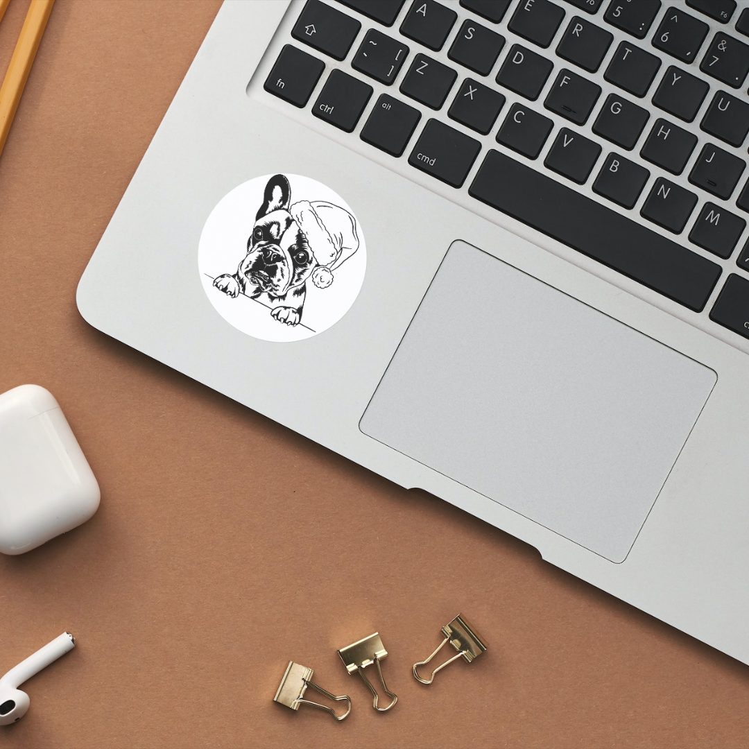 Personalize your pet image