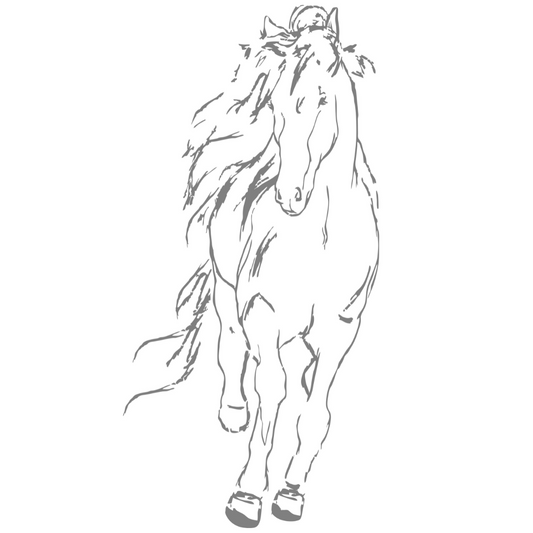 Galloping Horse Line Art